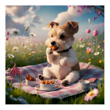Dandie Dinmont Terrier