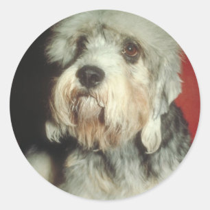 Dandie Dinmont Terrier Runder Aufkleber