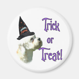 Dandie Dinmont Terrier Trick Magnet