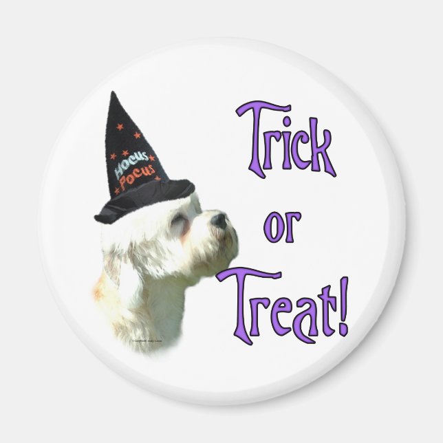 Dandie Dinmont Terrier Trick Magnet (Vorne)