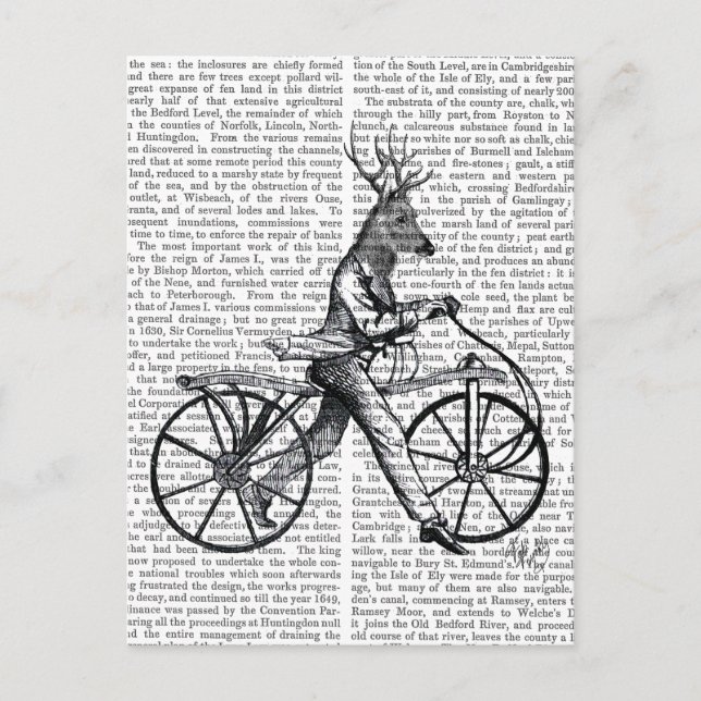 Dandy Deer on Vintag Bicycle Postkarte (Vorderseite)
