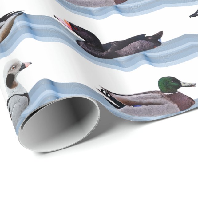 Dandy Ducks Wrapping Paper Geschenkpapier (Rolleneckpunkt)