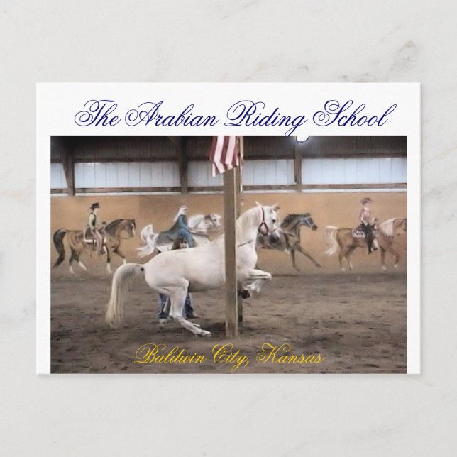 Dandy, levade Postcard Postkarte (Vorderseite)