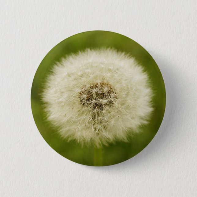 Dandy Lion Button (Vorderseite)