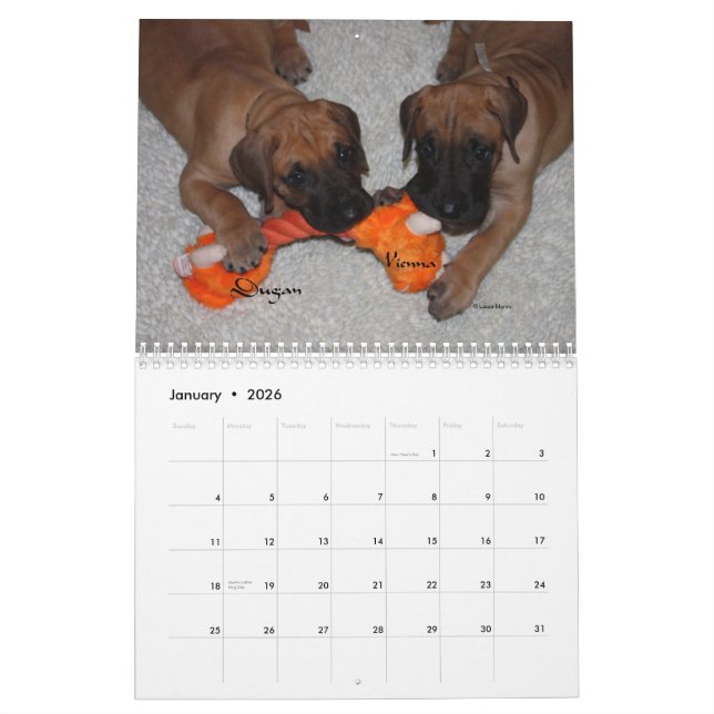 Däne-Angelegenheit - 2012 Welpen Kalender (Jan 2026)