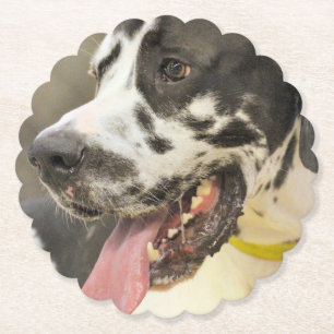 Dane Untersetzer