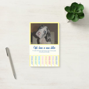 Dane Welpen farbig verkaufen Post-it Klebezettel