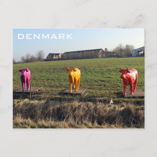 Dänemark farbenfrohe Kühe Postcard! Postkarte (Vorderseite)