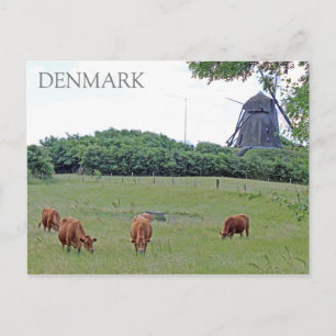 Dänemark Landschaftsansicht Postkarte! Postkarte