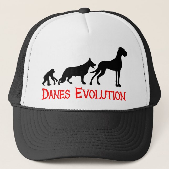 Danes Evolution Truckerkappe (Vorderseite)