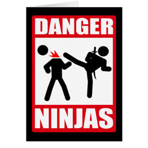 Danger Ninjas