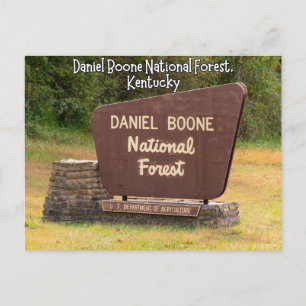 Daniel Boone National Forest Kentucky Postkarte