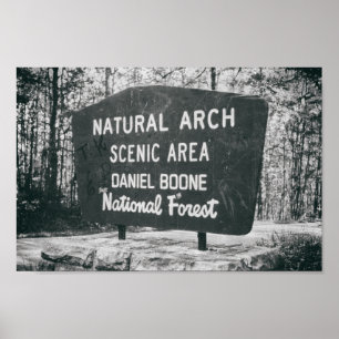 Daniel Boone National Forest Mitte des Jahrhundert Poster