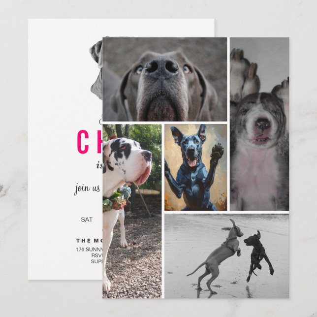 Dänische Dogge Einladung (Vorne/Hinten)