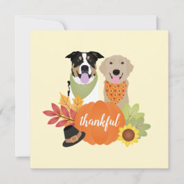 Dankbare Hunde Erntedank Harvest Pumpkins