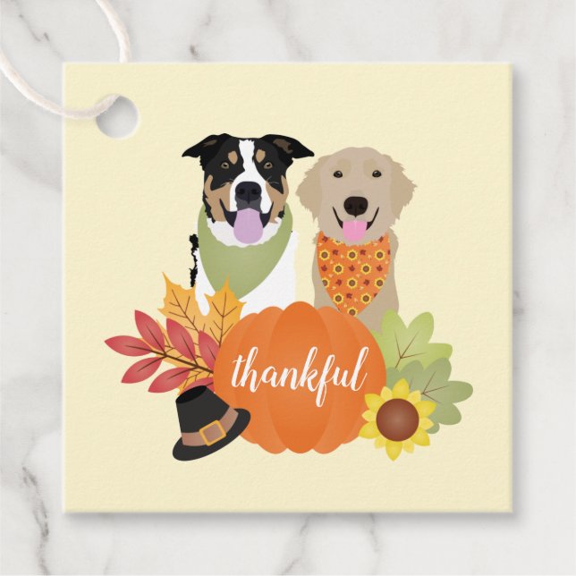 Dankbare Hunde Erntedank Harvest Pumpkins Geschenkanhänger (Vorderseite)