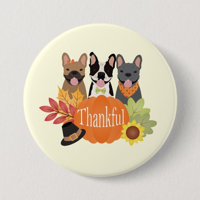 Dankbarer französischer Bulldogs-Erntedank Button (Vorderseite)