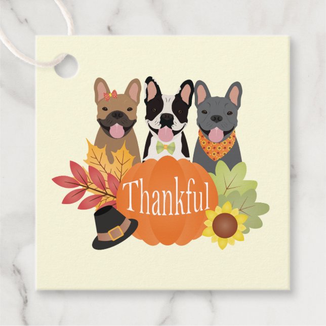 Dankbarer französischer Bulldogs-Erntedank Geschenkanhänger (Vorderseite)