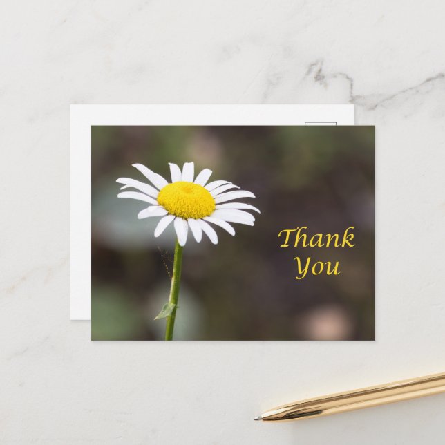 Dankbarkeit Blooms: Ein wilder Daisy Vielen Dank Postkarte (Vorderseite/Rückseite Beispiel)