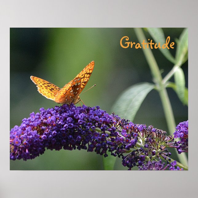 Dankbarkeit Butterfly Poster (Vorne)
