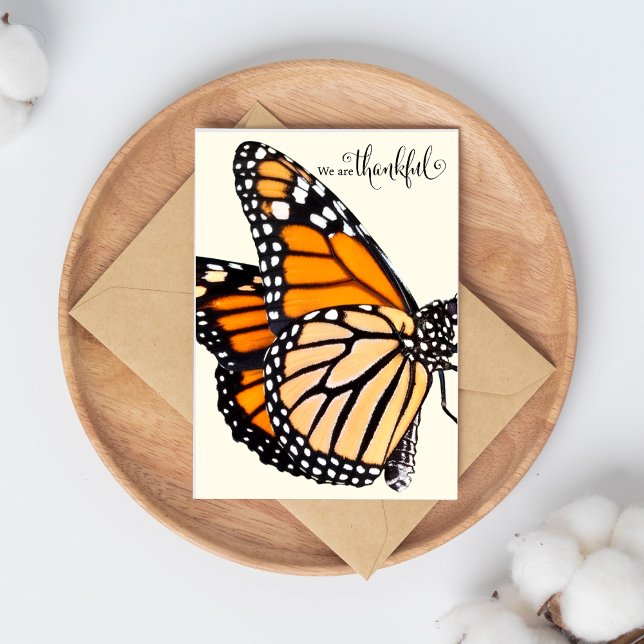 Dankbarkeit der Flutbarmachung: Monarchschmetterli Karte (The Butterfly Studio
We Are Thankful Monarch Butterfly Thank You Card)
