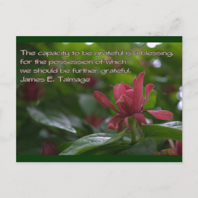 Dankbarkeit Postkarte (Vorderseite)