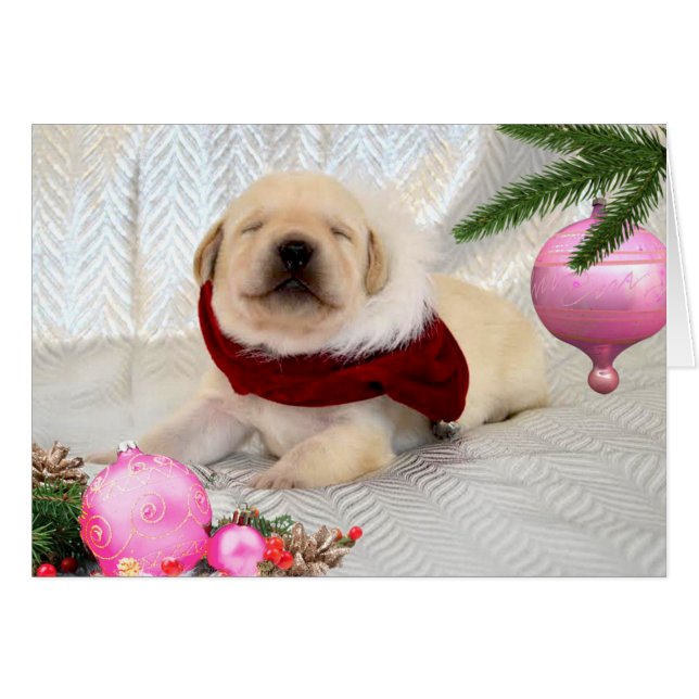 Dankbarkeitswoche 2 Rosa (Vorderseite (Horizontal))