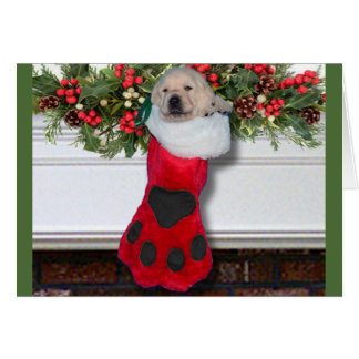 Dankbarkeitswoche 3 Schwarzes