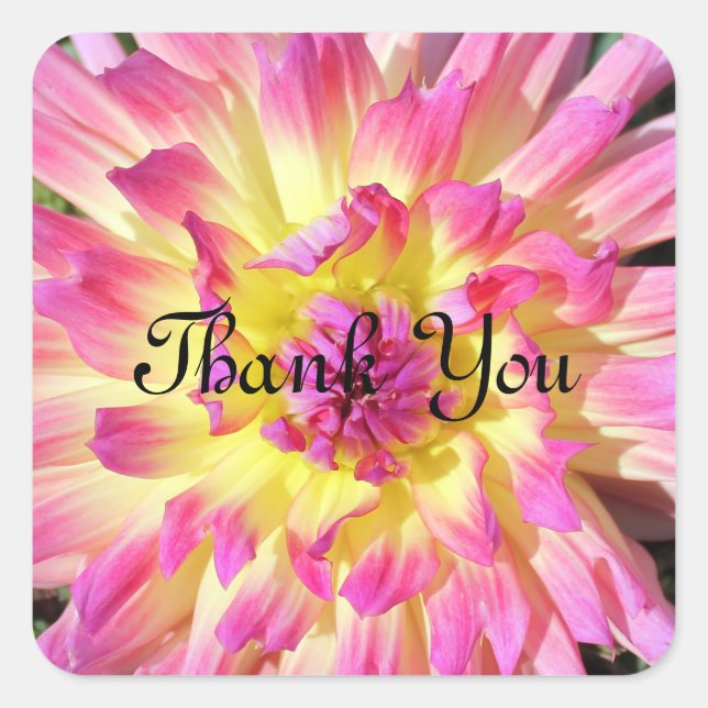 Danke, Aufkleber (Vorderseite)