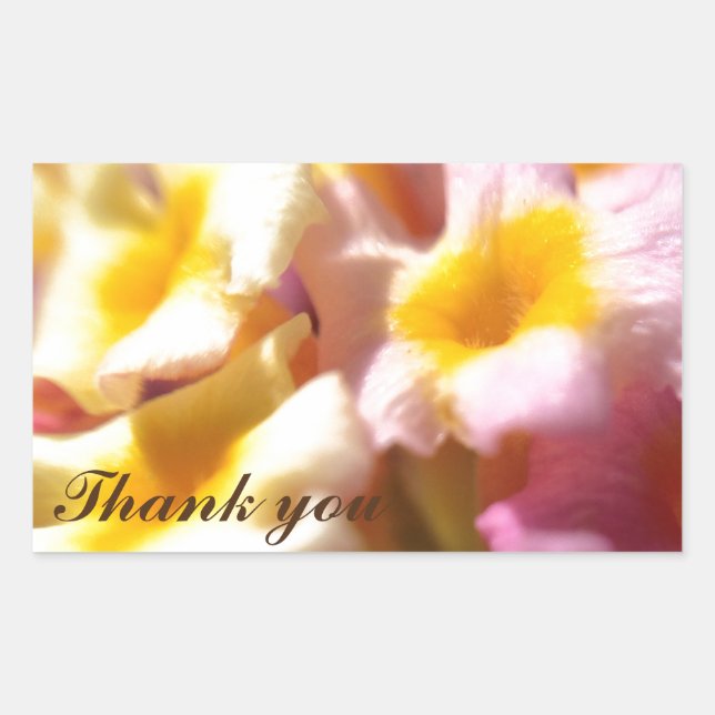 Danke, Aufkleber (Vorderseite)