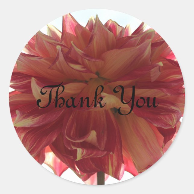 Danke, Aufkleber (Vorderseite)