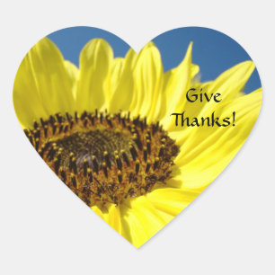 Danke! Aufkleber farbenfrohe Sonnenblume Blue Sky!