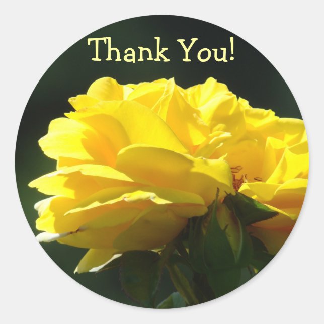 Danke! Aufkleber Gelbe Rose Blume leuchten (Vorderseite)