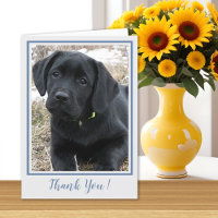 Danke Black Labrador - Niedlicher Welpenhund