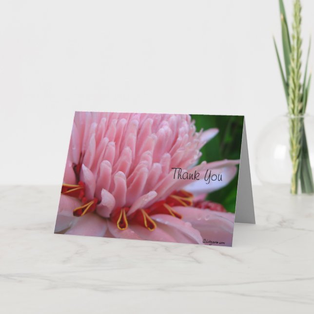 Danke Bloom Me Away Pink Ginger (Vorderseite)