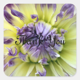 Danke, Blume Stickers