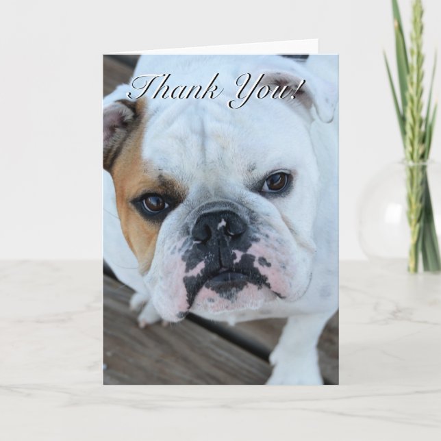 Danke Bulldoggengrußkarte (Vorderseite)