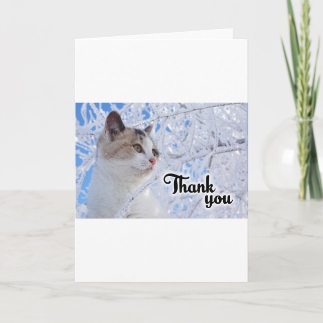 Danke, Cat Dankeskarte (Vorderseite)