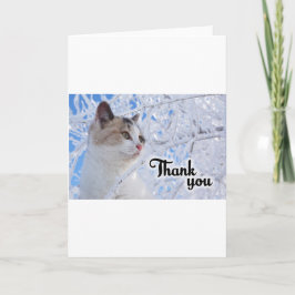 Danke, Cat Dankeskarte