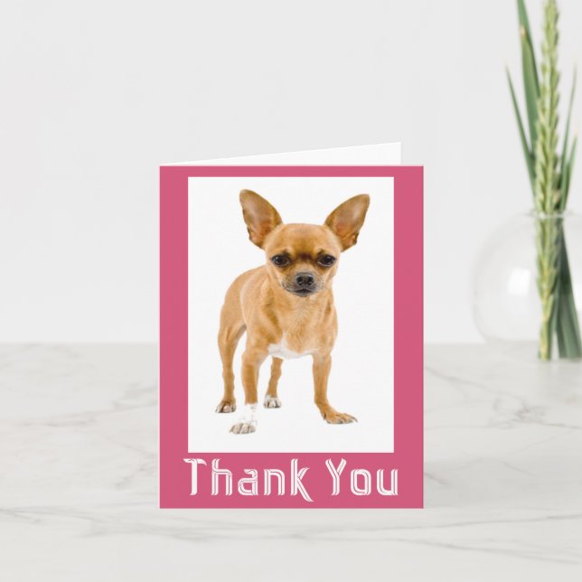 Danke Chihuahua Welpe Hund Blank Notecard (Vorderseite)