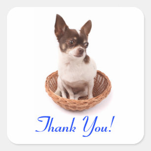 Danke Chihuahua-Welpe-Hund-Gruß-Aufkleber Quadratischer Aufkleber