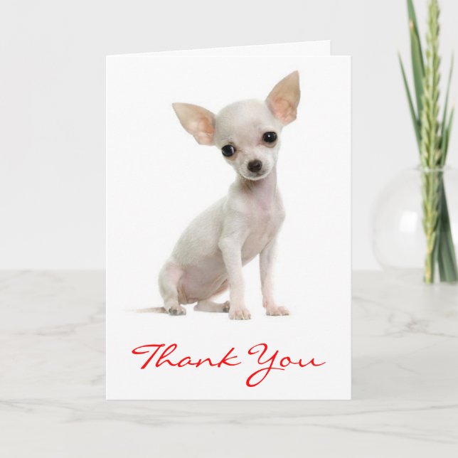 Danke Chihuahua Welpe Hund Grußkarte (Vorderseite)