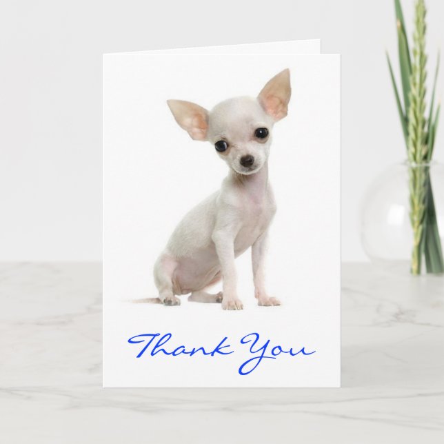 Danke Chihuahua Welpe Hund Grußkarte (Vorderseite)