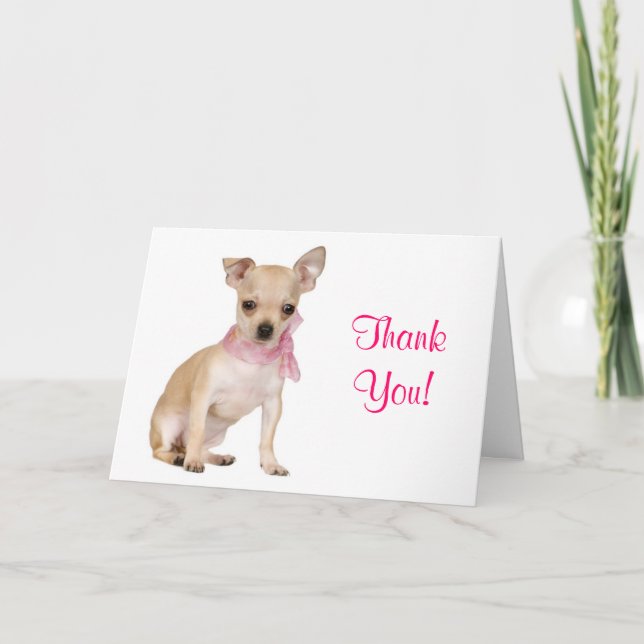 Danke Chihuahua Welpe Hund Grußkarte (Vorderseite)