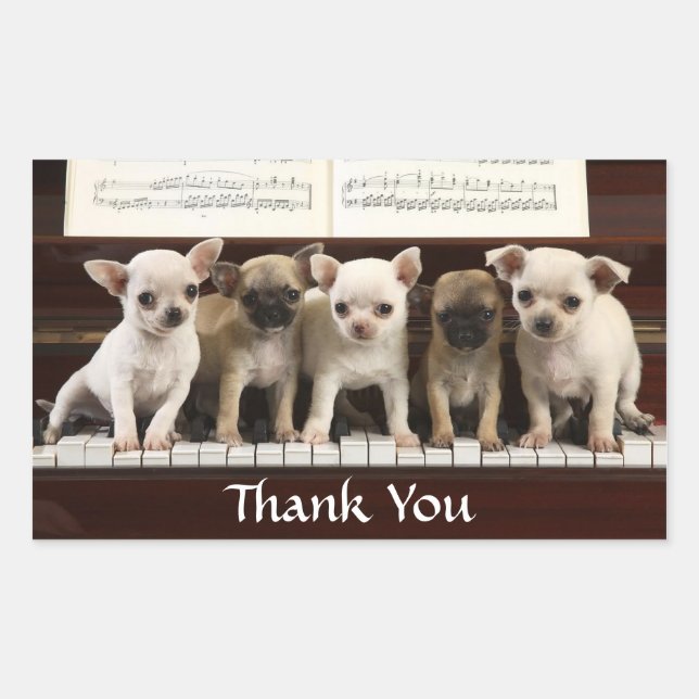 Danke Chihuahua Welpe Hunde Grußsticker Rechteckiger Aufkleber (Vorderseite)