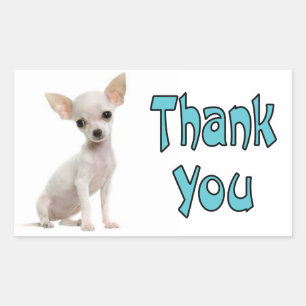 Danke Chihuahua Welpen-Hund-Gruß-Aufkleber Rechteckiger Aufkleber