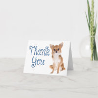 Danke Chihuahua Welpen Hund Leere Karte