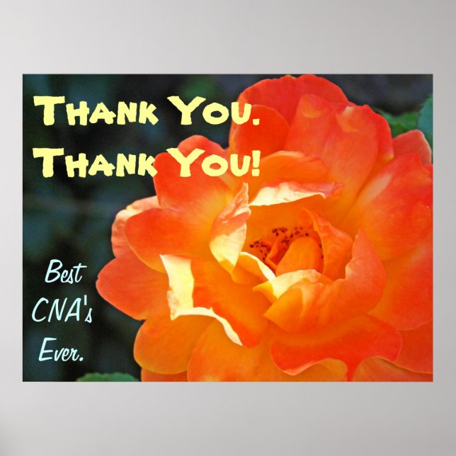Danke! CNA Art druckt Poster Best Nursing CNA (Vorne)