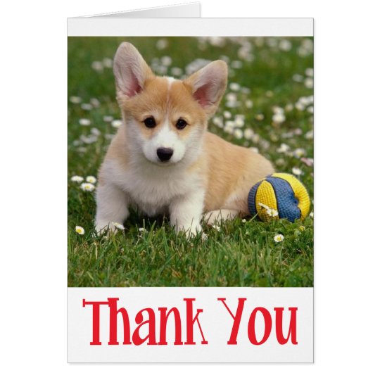 Danke Corgie (Pembroke) Hündchen-Anmerkungs-Karte Karte