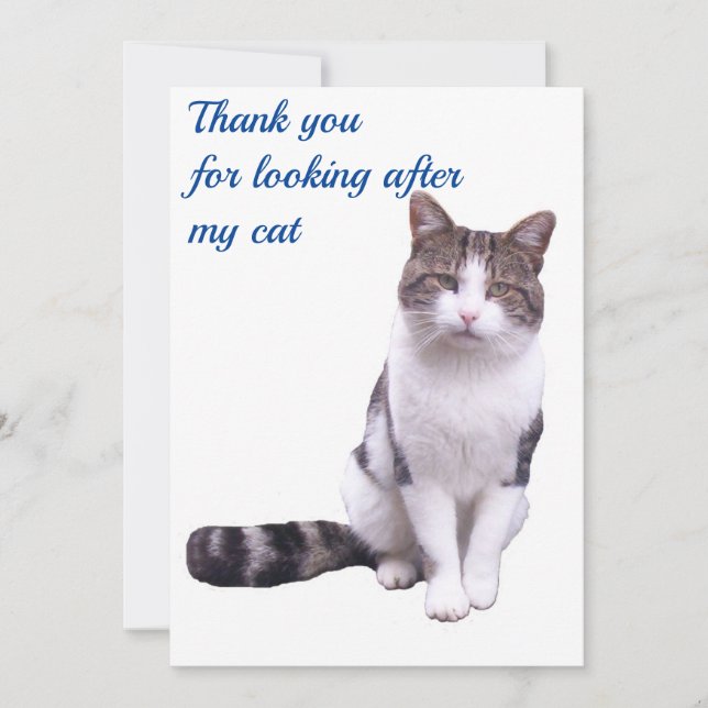 Danke, dass du dich um meine Katzenkarte gekümmert Dankeskarte (Vorderseite)